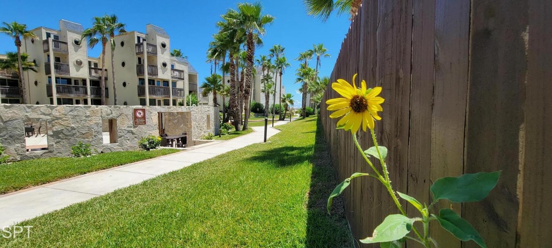 Villa Bahia Mar #426 South Padre Island Exterior foto